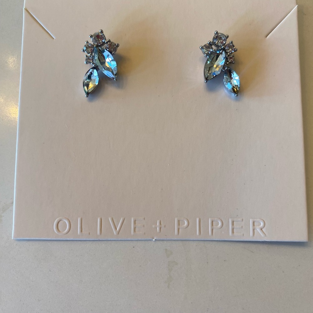 Blue Crystal Earrings